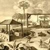 Een koloniale suikerplantage op Saint-Domingue
